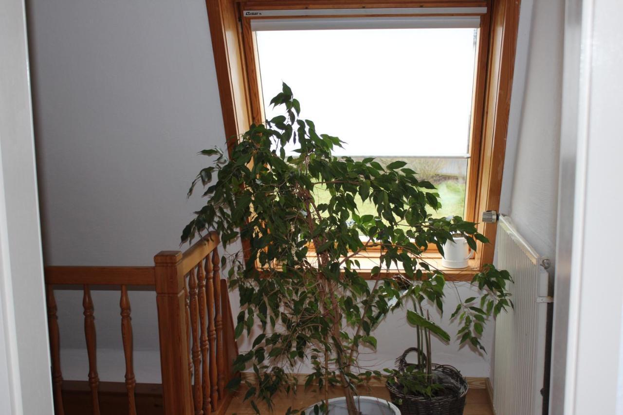 בלנקנהיים Ferienwohnung Nett מראה חיצוני תמונה